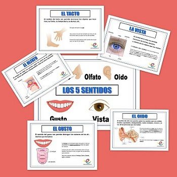 Fichas de conocimiento del medio