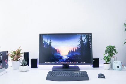 monitores económicos