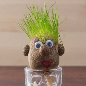 Crear un muñeco con ‘cabeza de césped’