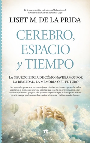 Cerebro espacio y tiempo