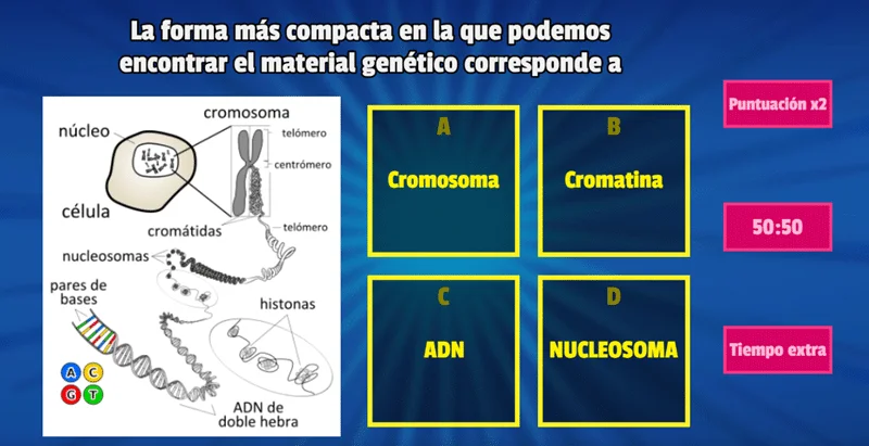 Diagrama De Genetica Humana