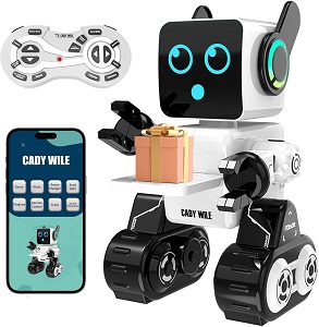 Anysun Robot- kits de robótica