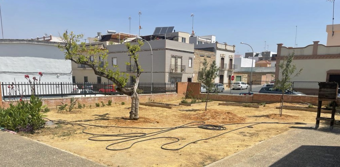 proyecto educativo patio ecosocial